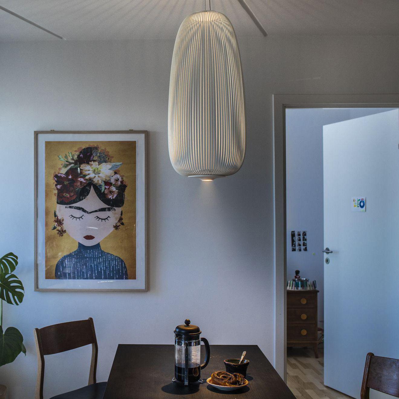 Enloria Cage Pendant Light