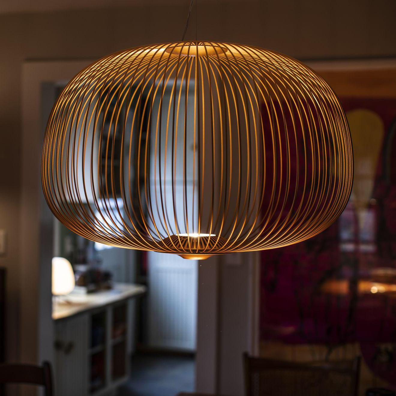 Enloria Cage Pendant Light
