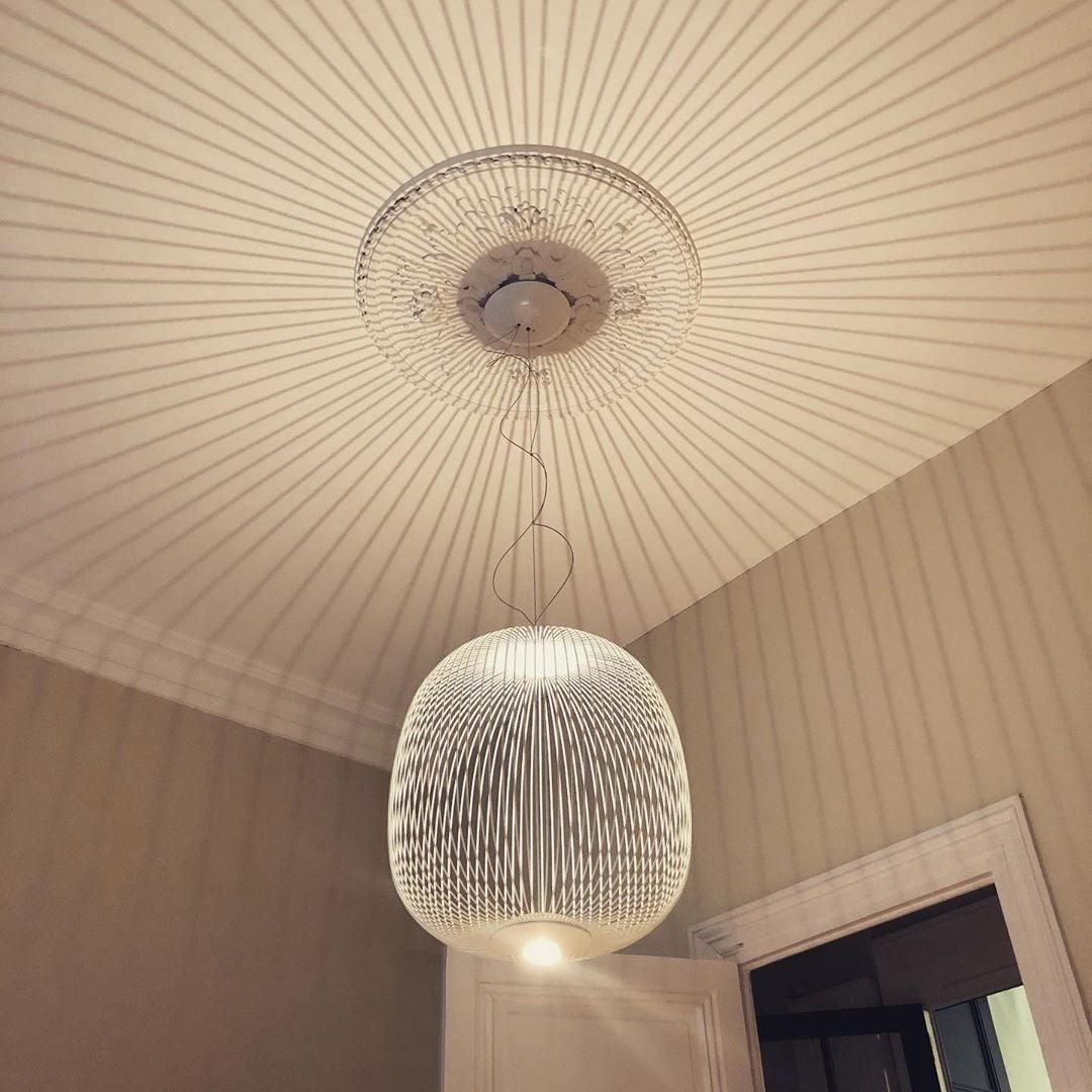 Enloria Cage Pendant Light