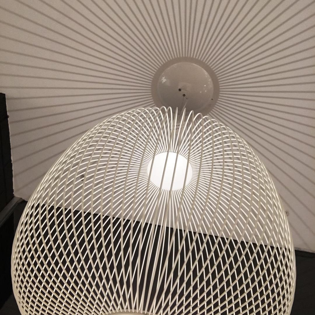 Enloria Cage Pendant Light