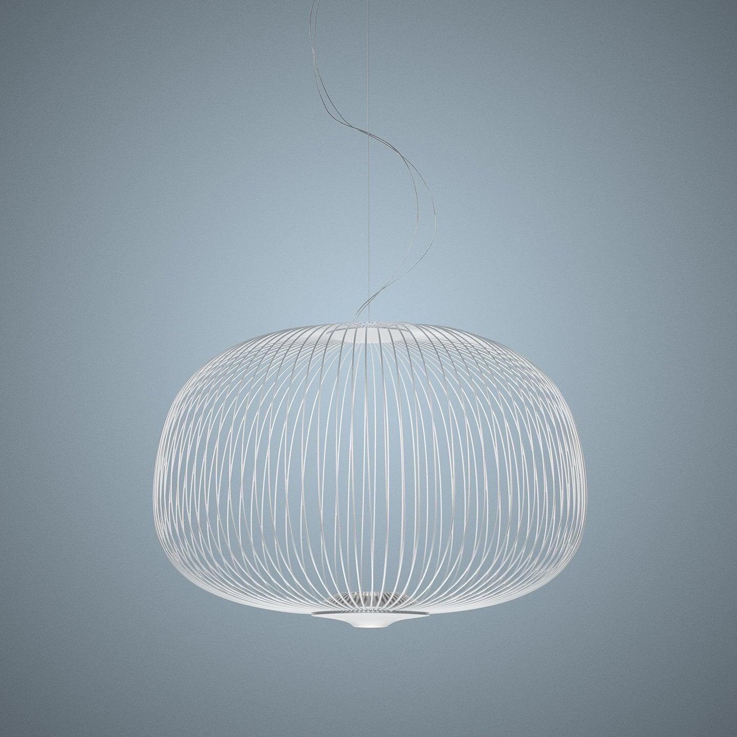 Enloria Cage Pendant Light