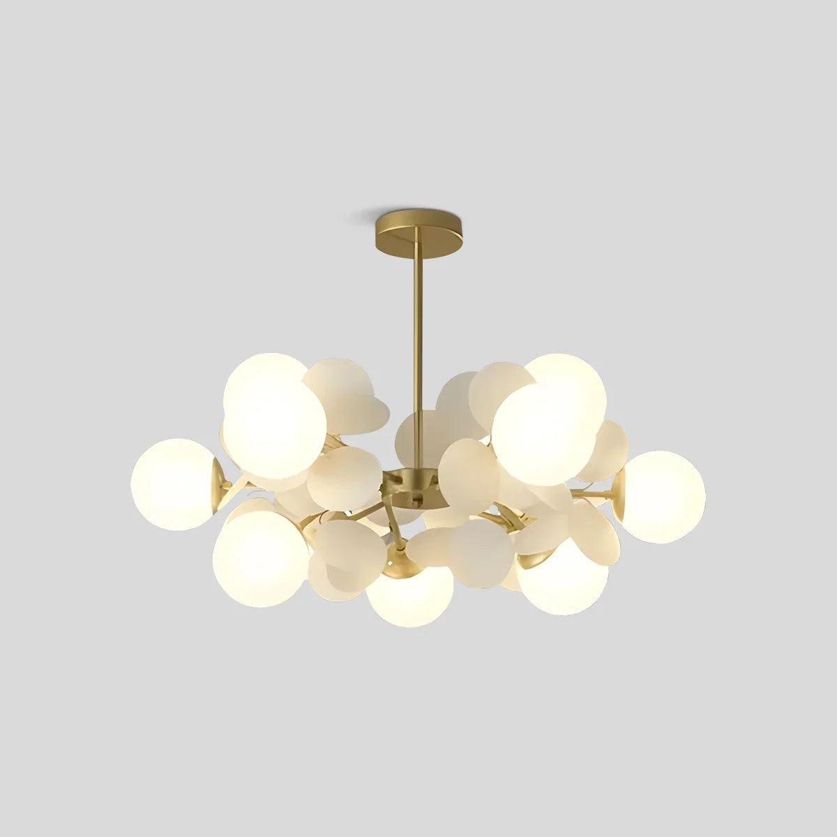 Floyizo Ceiling Light