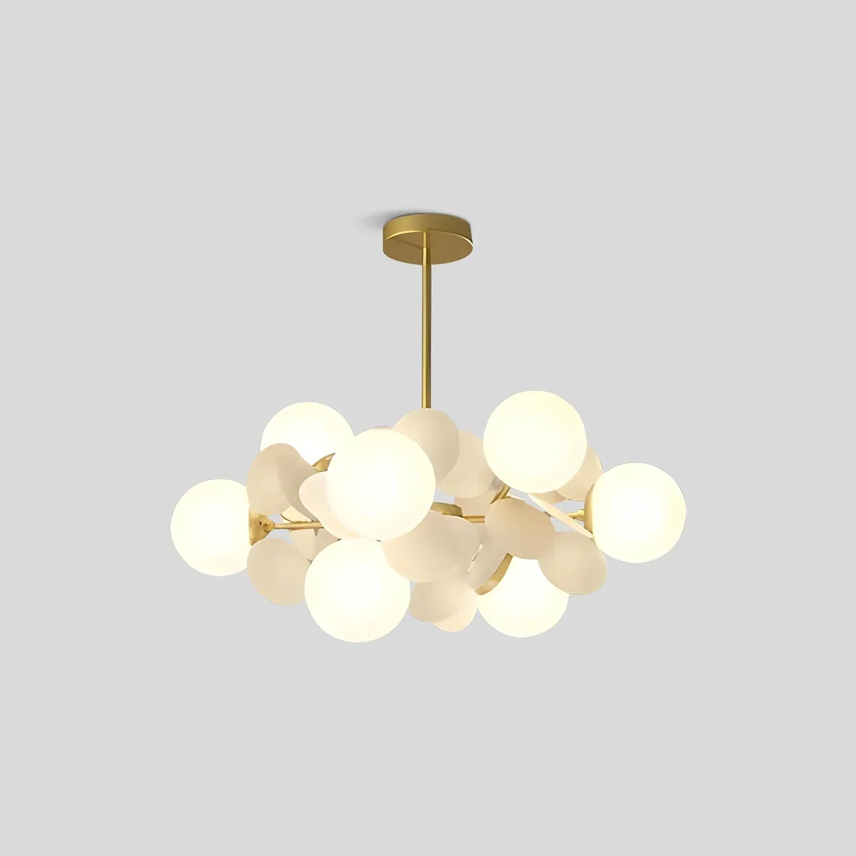 Floyizo Ceiling Light