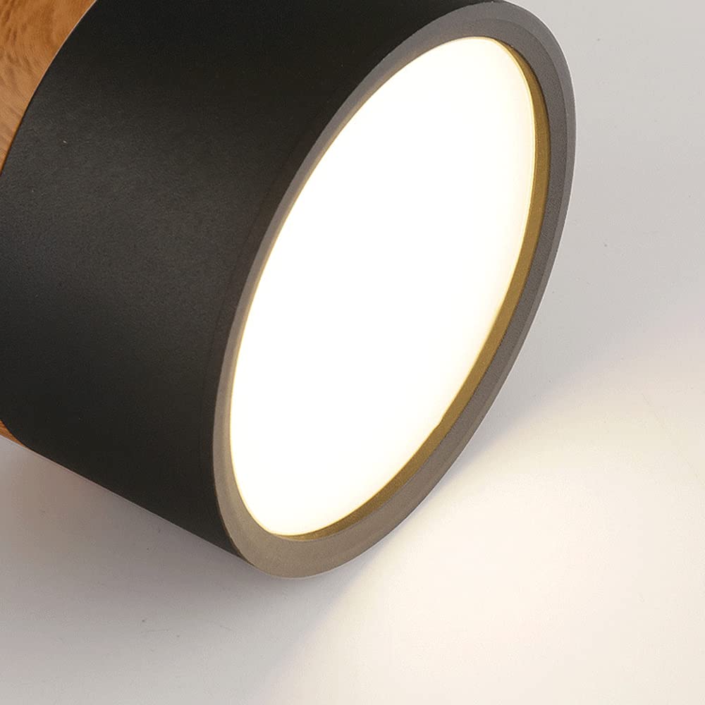 Cylinder Small Ceiling Light