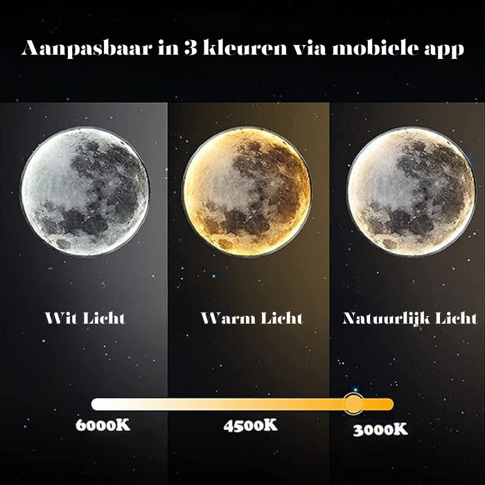Eclipse Moon Design Wall Light