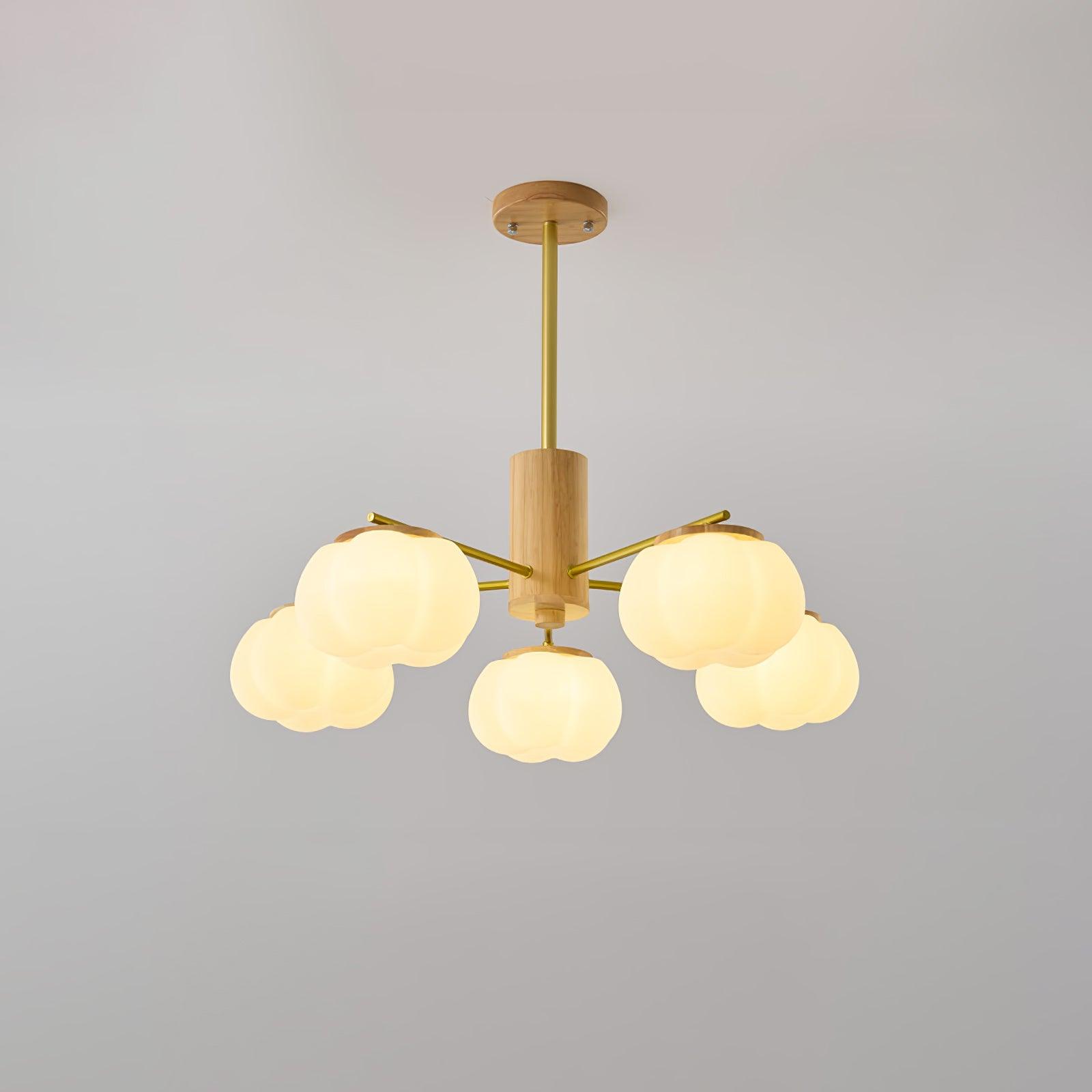 Comenzu Ceiling Light