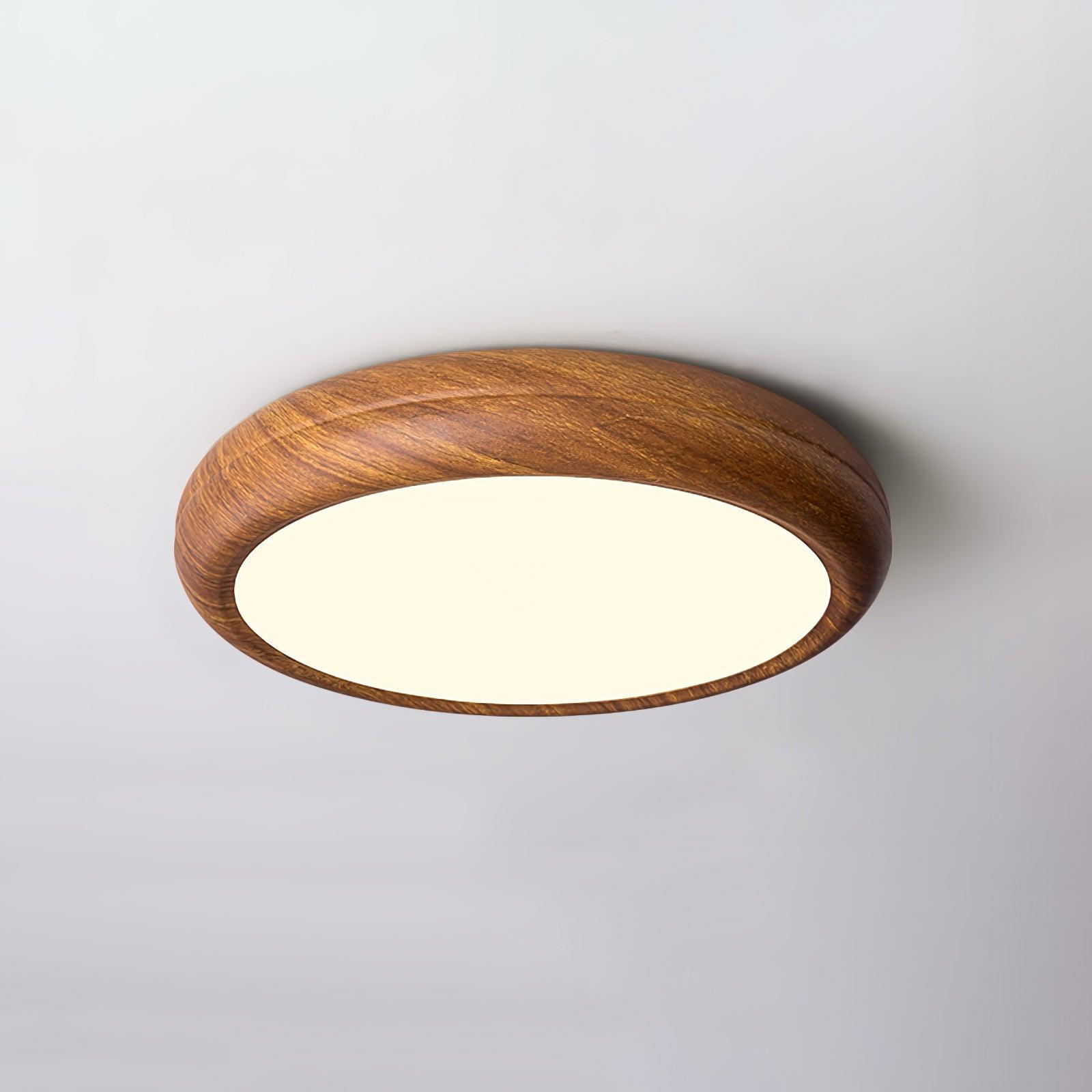 Loxno Round Ceiling Light