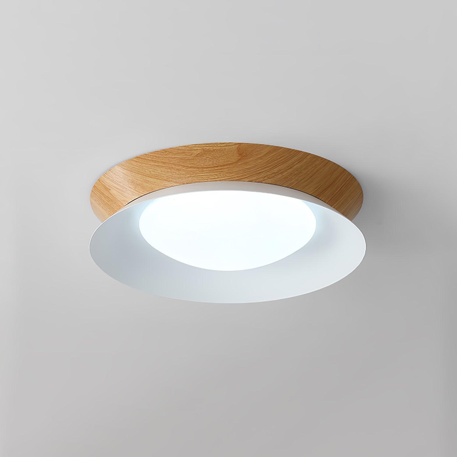 Solani Ceiling Light