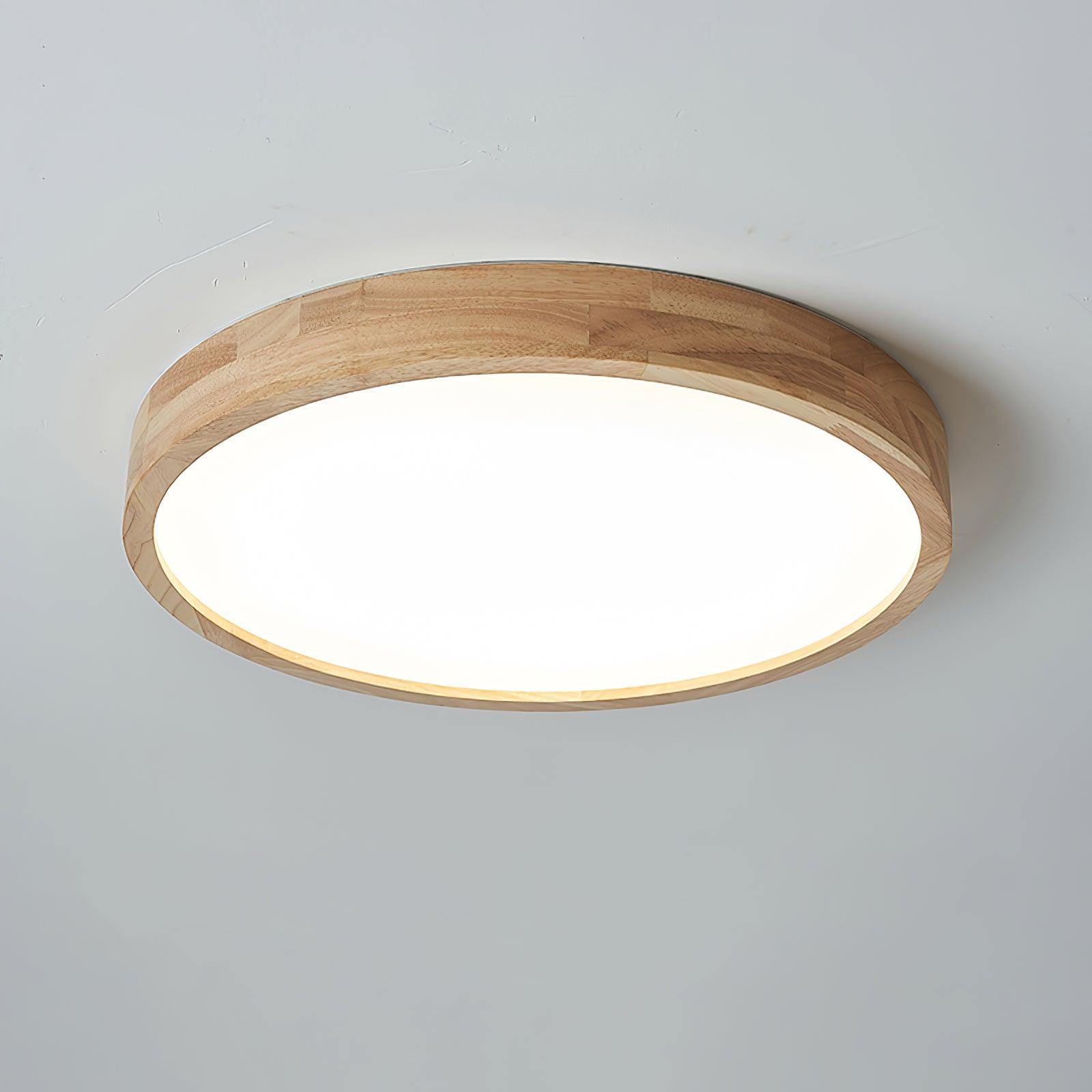 Weliva Ceiling Light