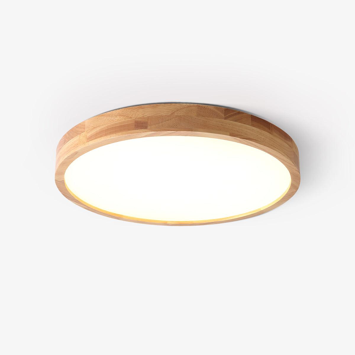 Weliva Ceiling Light