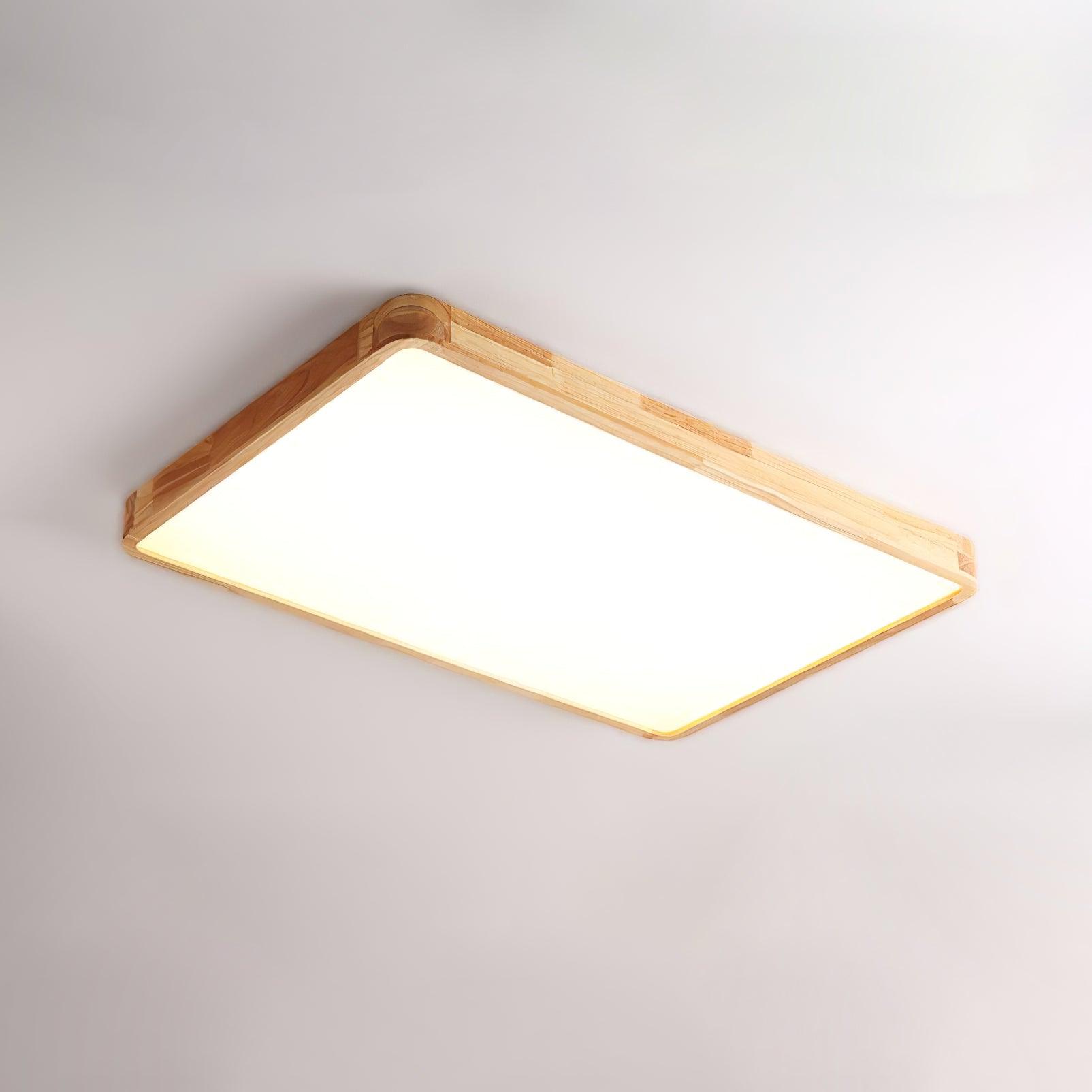 Weliva Ceiling Light