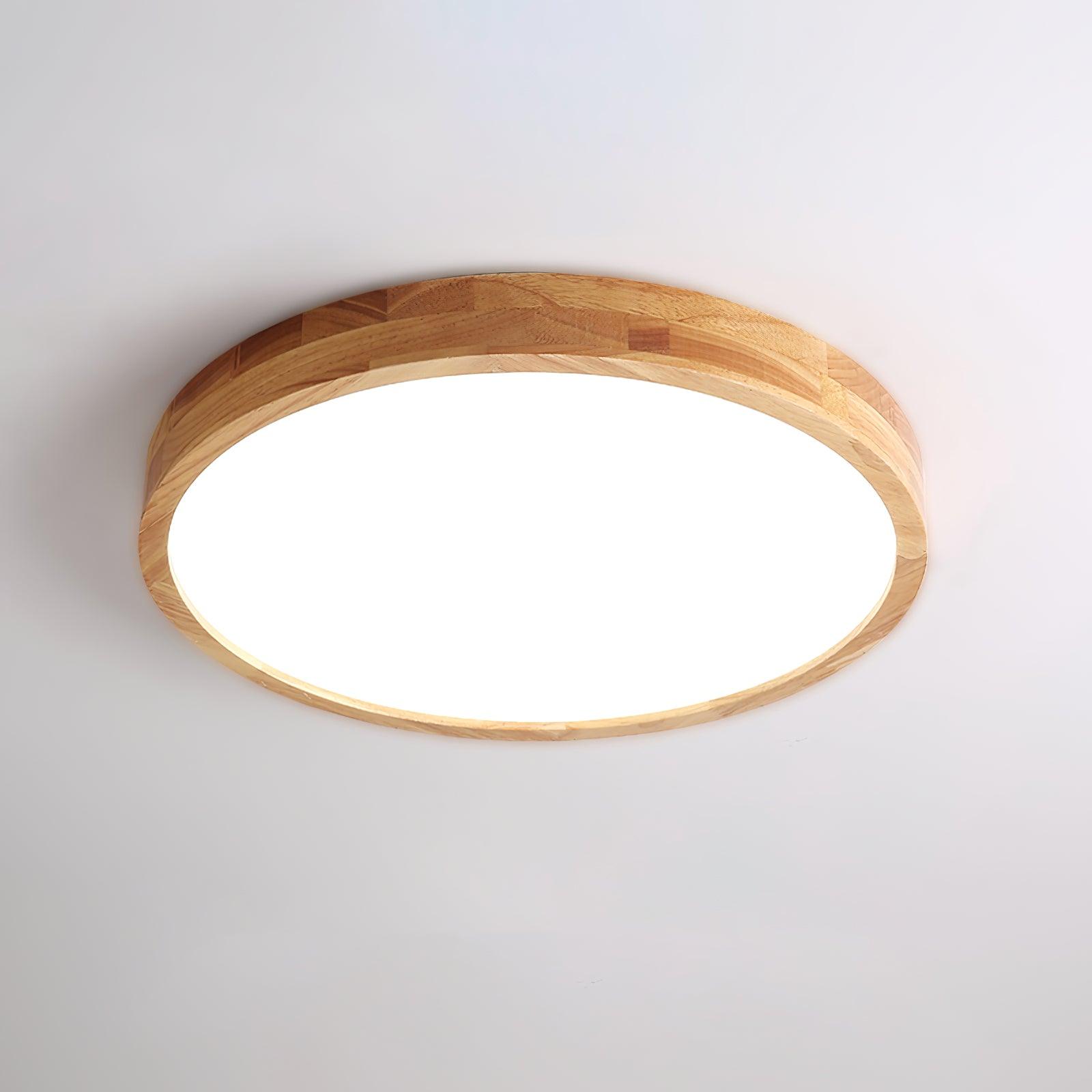 Weliva Ceiling Light