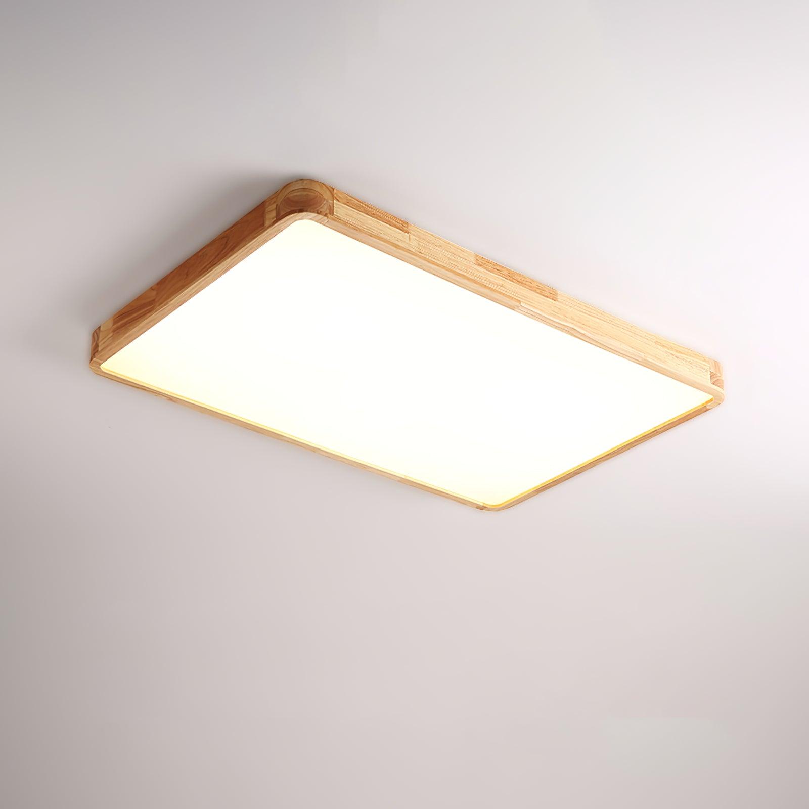 Weliva Ceiling Light