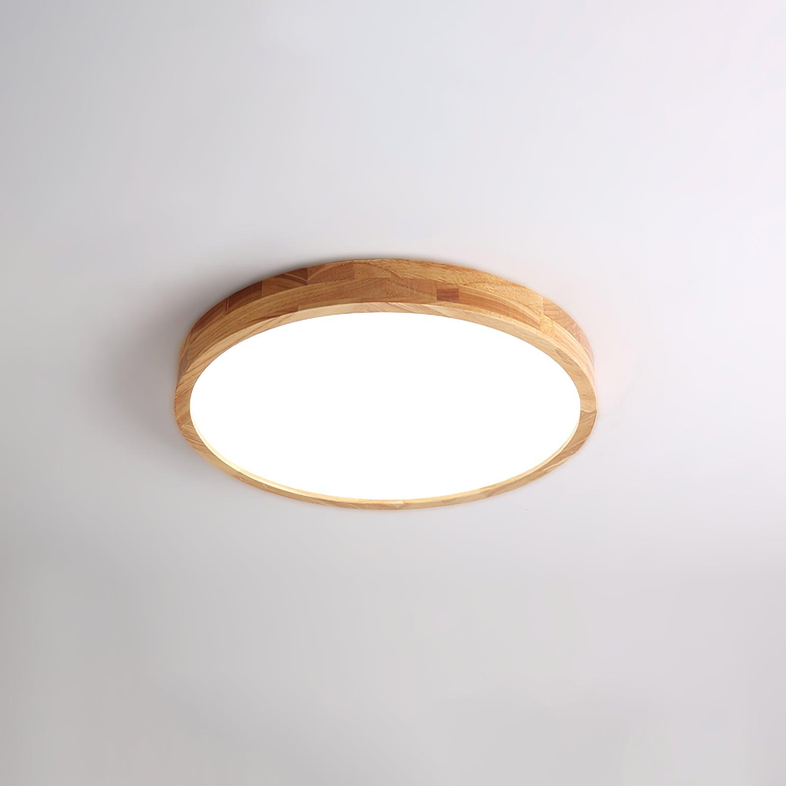 Weliva Ceiling Light