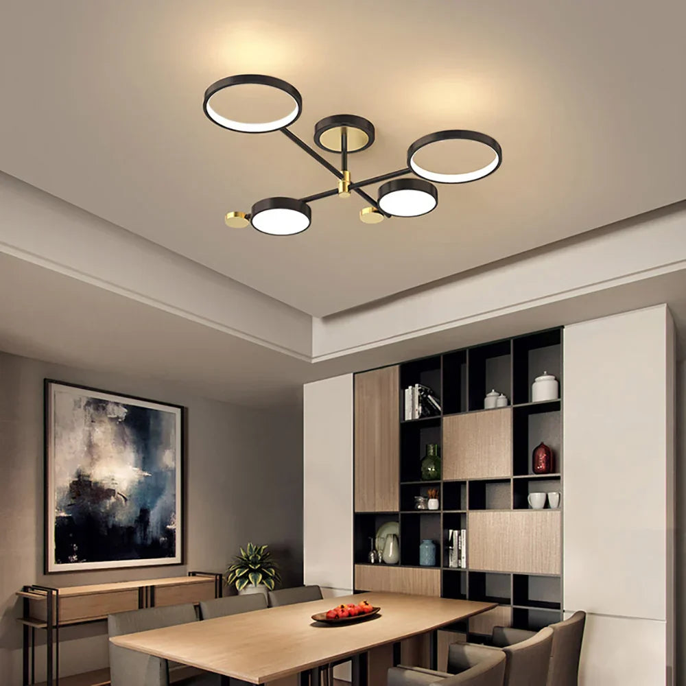 Selyz Ring Design Ceiling Light