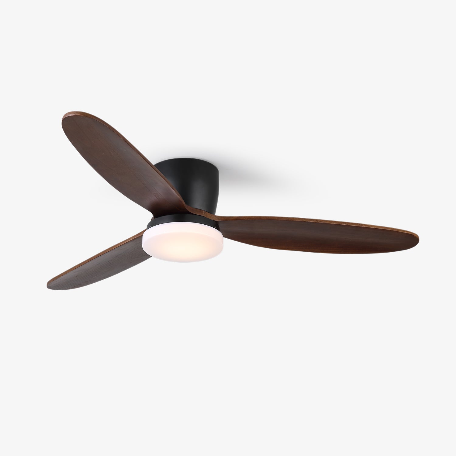 Nesorim Ceiling Fan