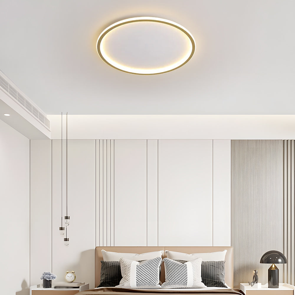 Circull Ceiling Light