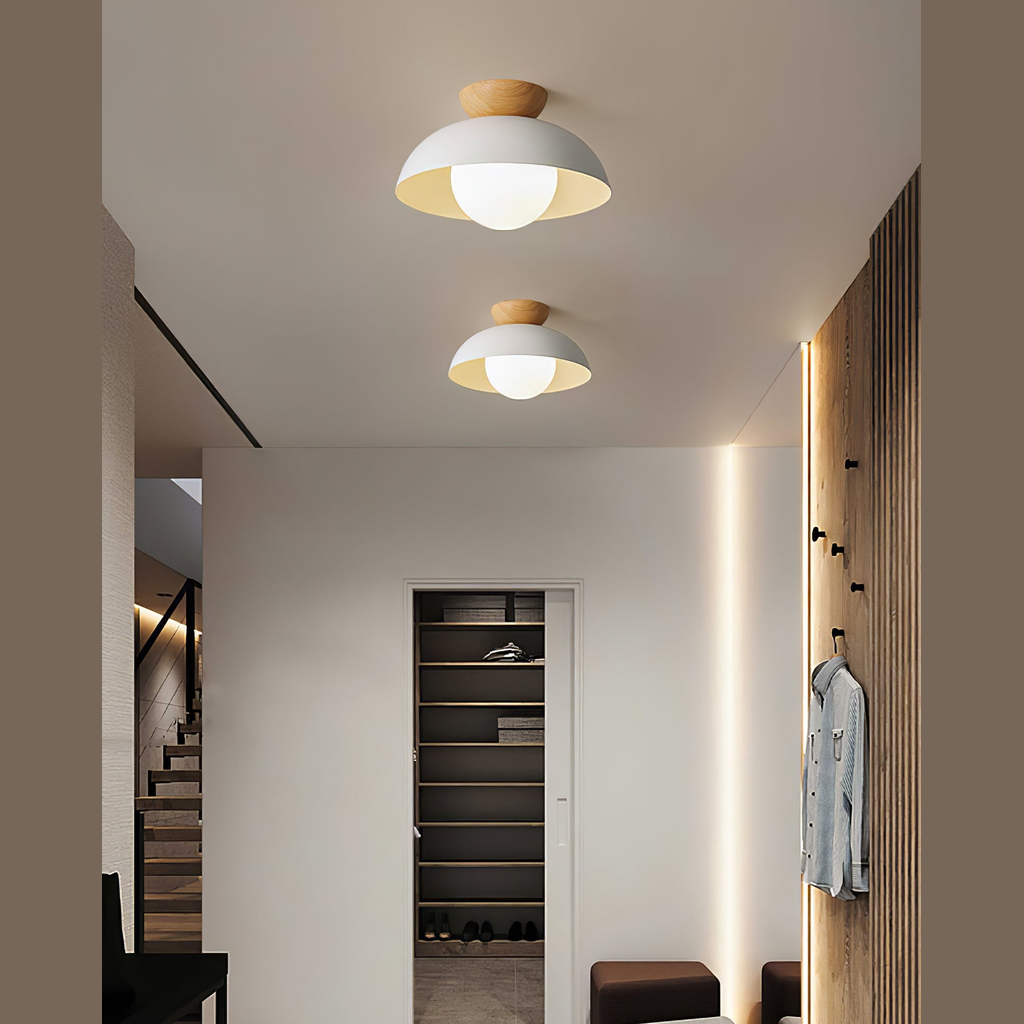 Merrarley Ceiling Light