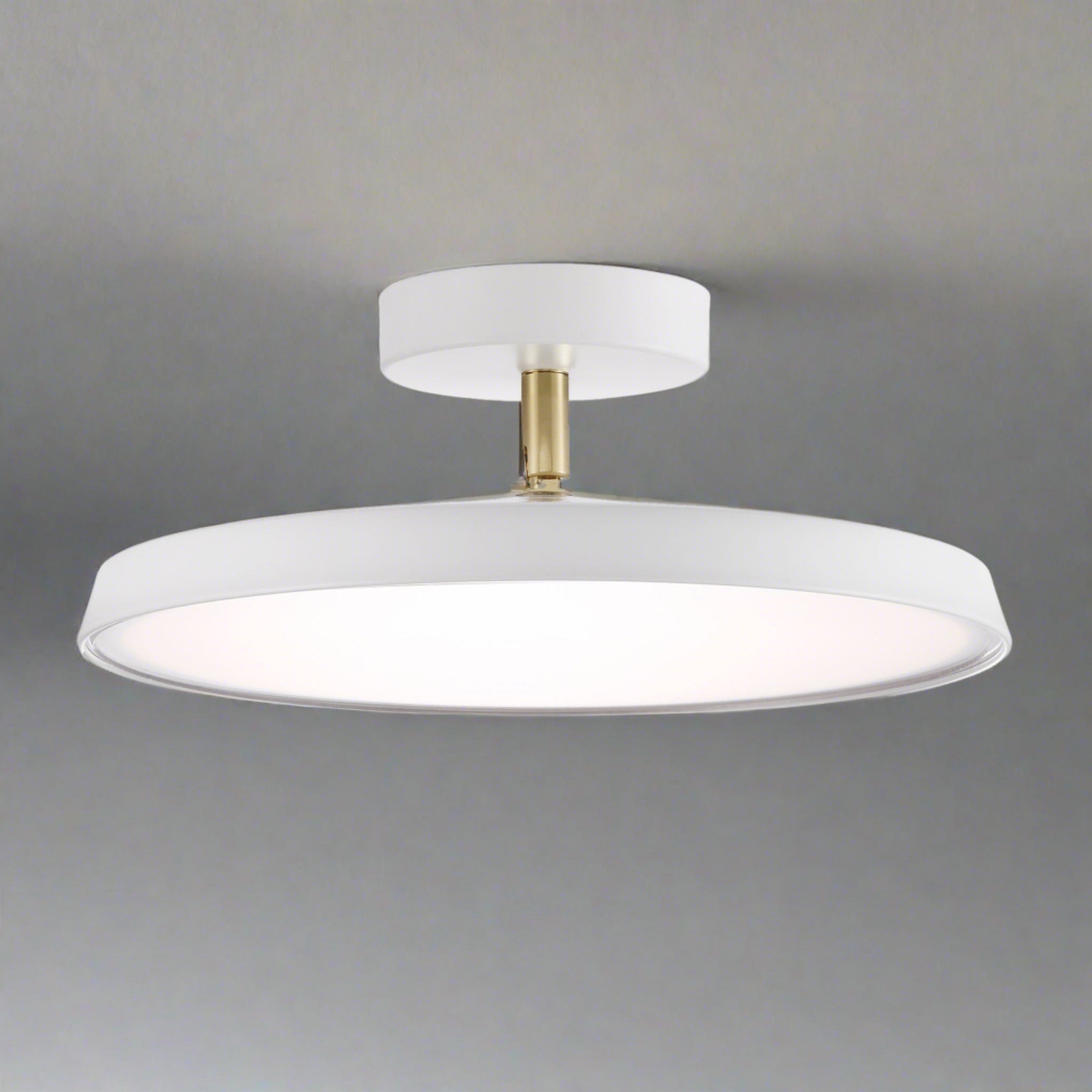 Veylith Ceiling Light