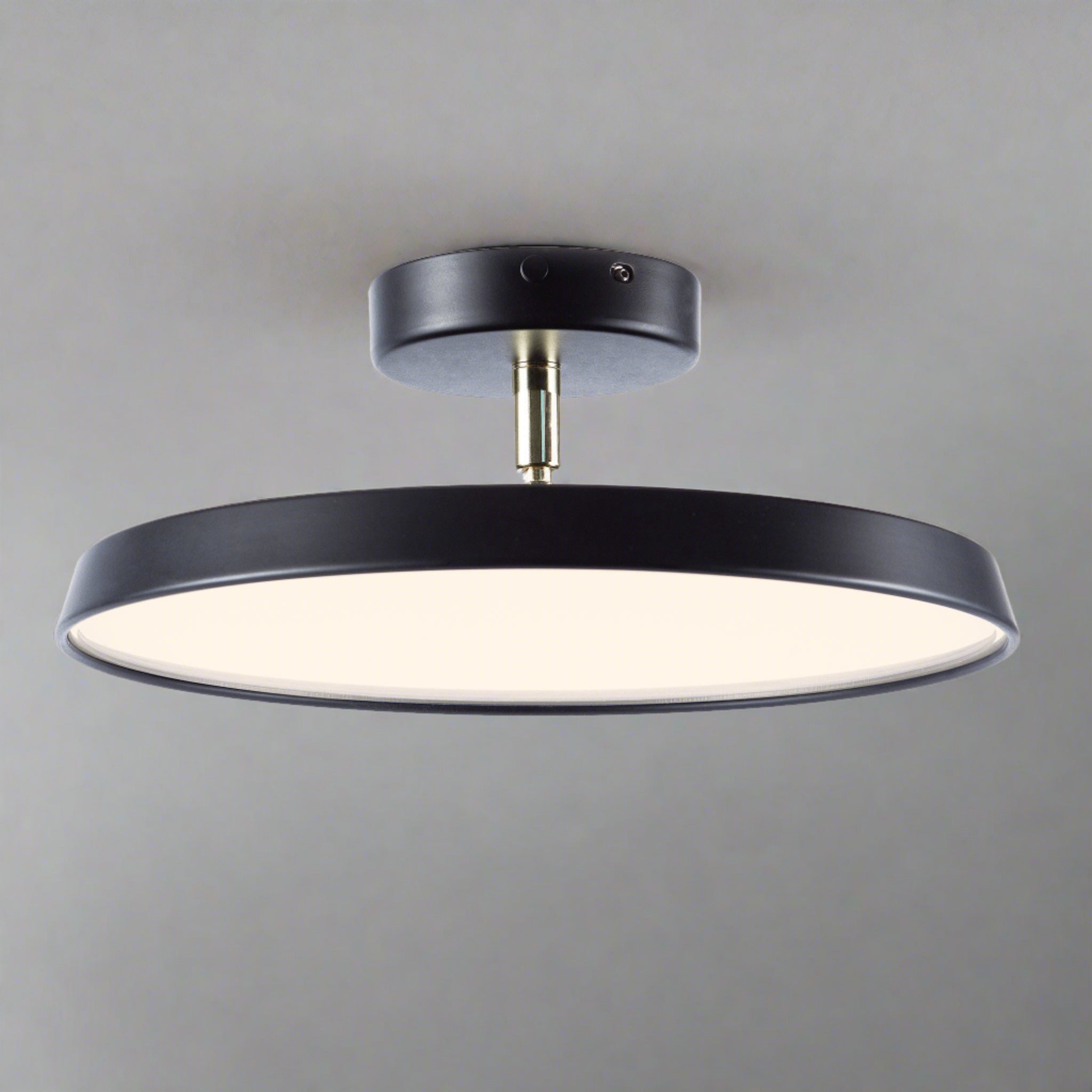 Veylith Ceiling Light