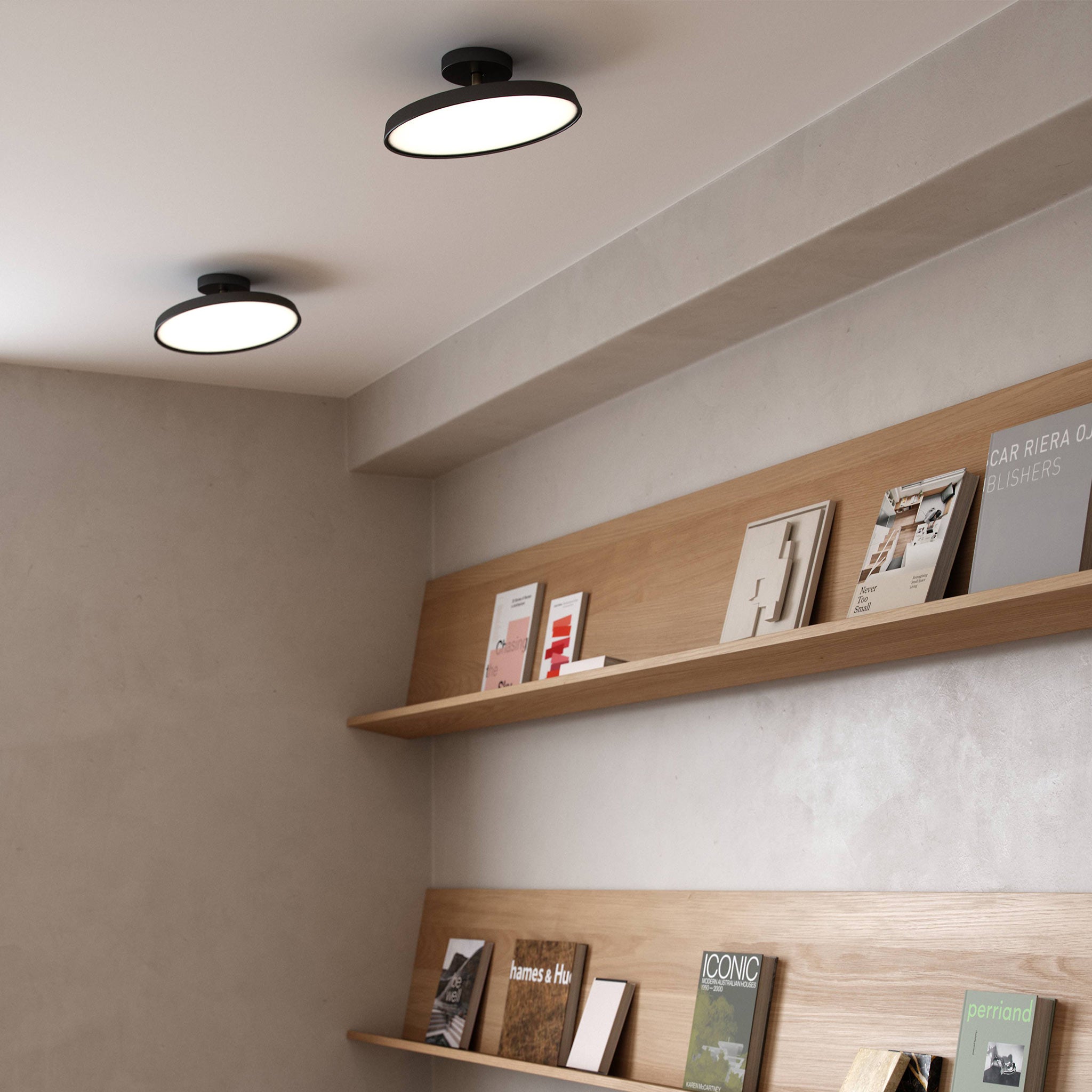 Veylith Ceiling Light