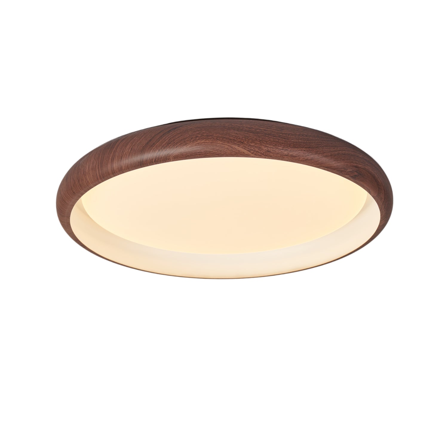 Valencoze Ceiling Light