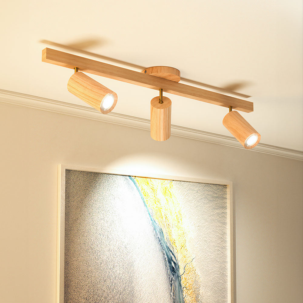 Metoza Ceiling Light