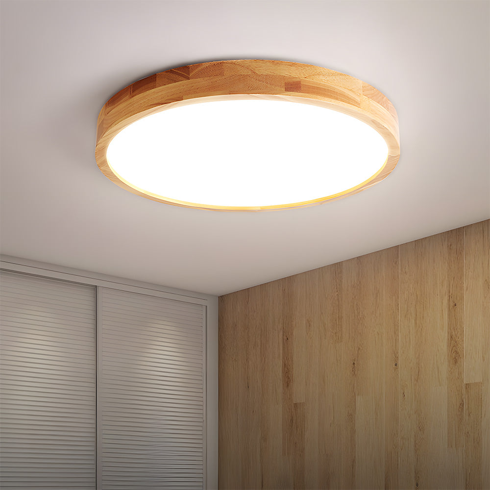 Erlivon Ceiling Light