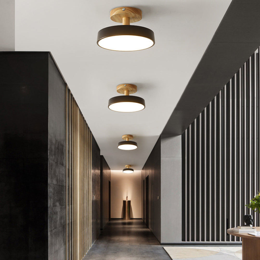 Pedol Ceiling Light