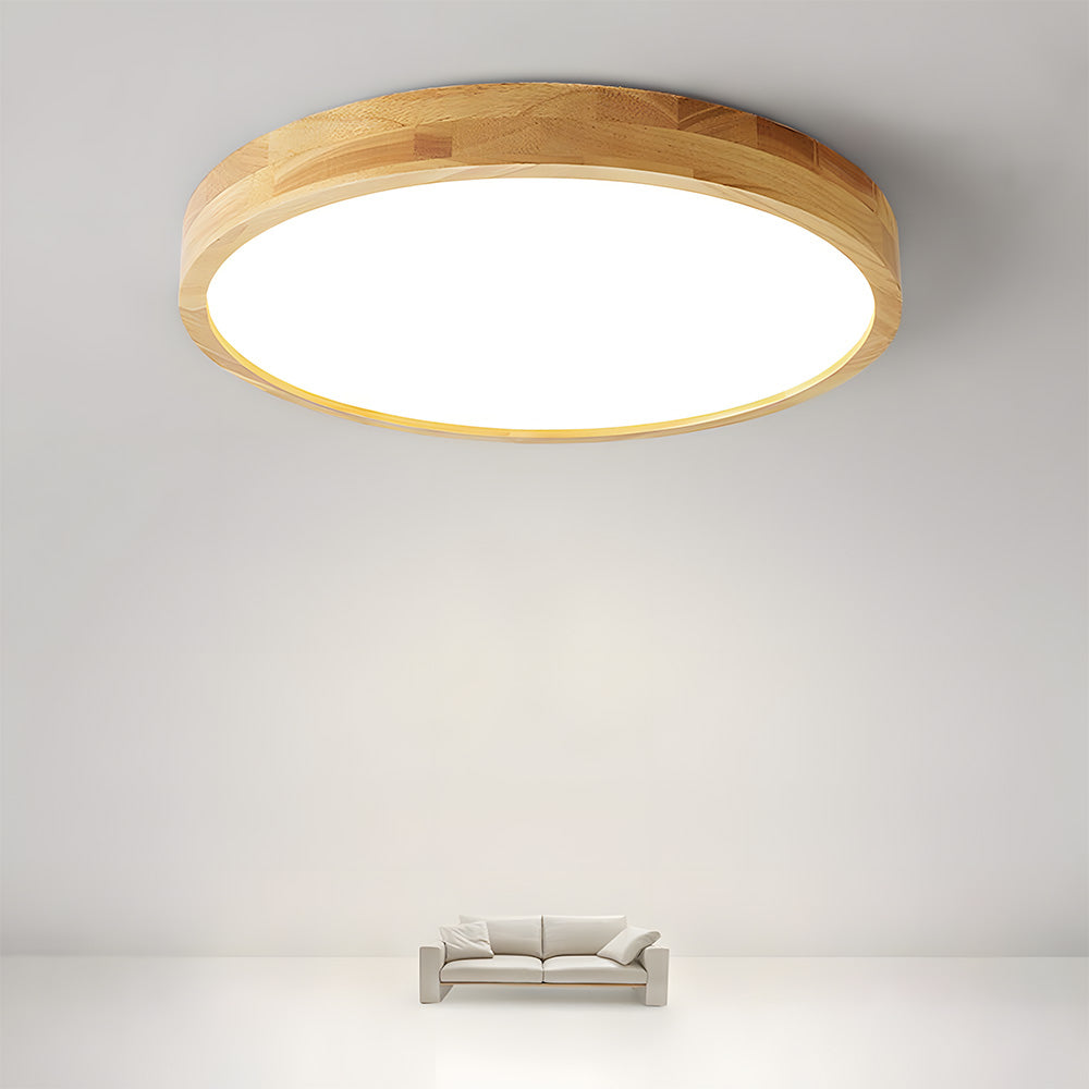 Erlivon Ceiling Light