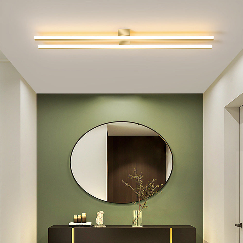 DuoLine Ceiling Light