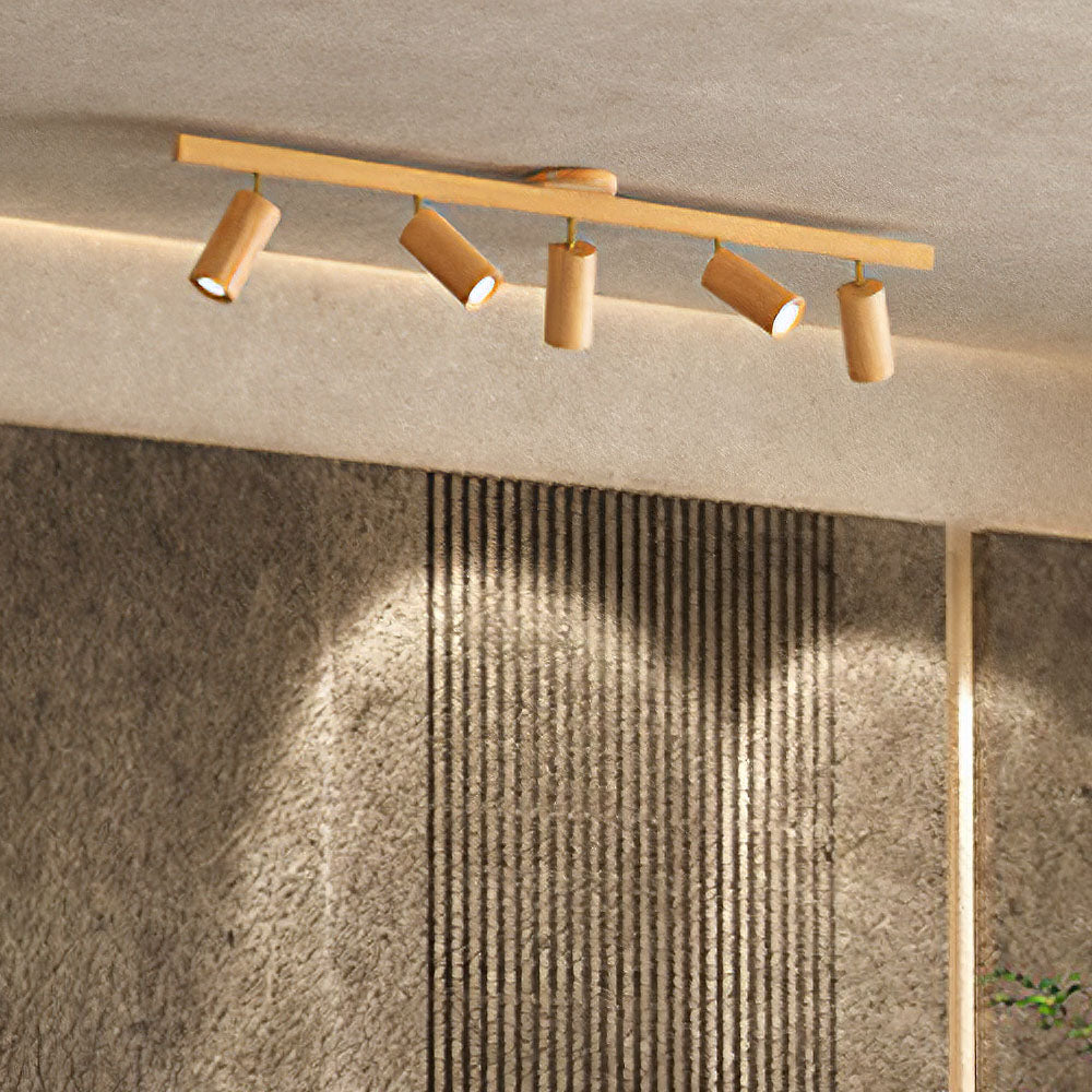 Metoza Ceiling Light