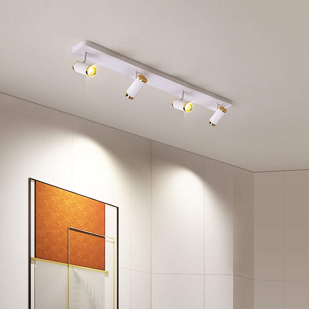 Celzilo Ceiling Light