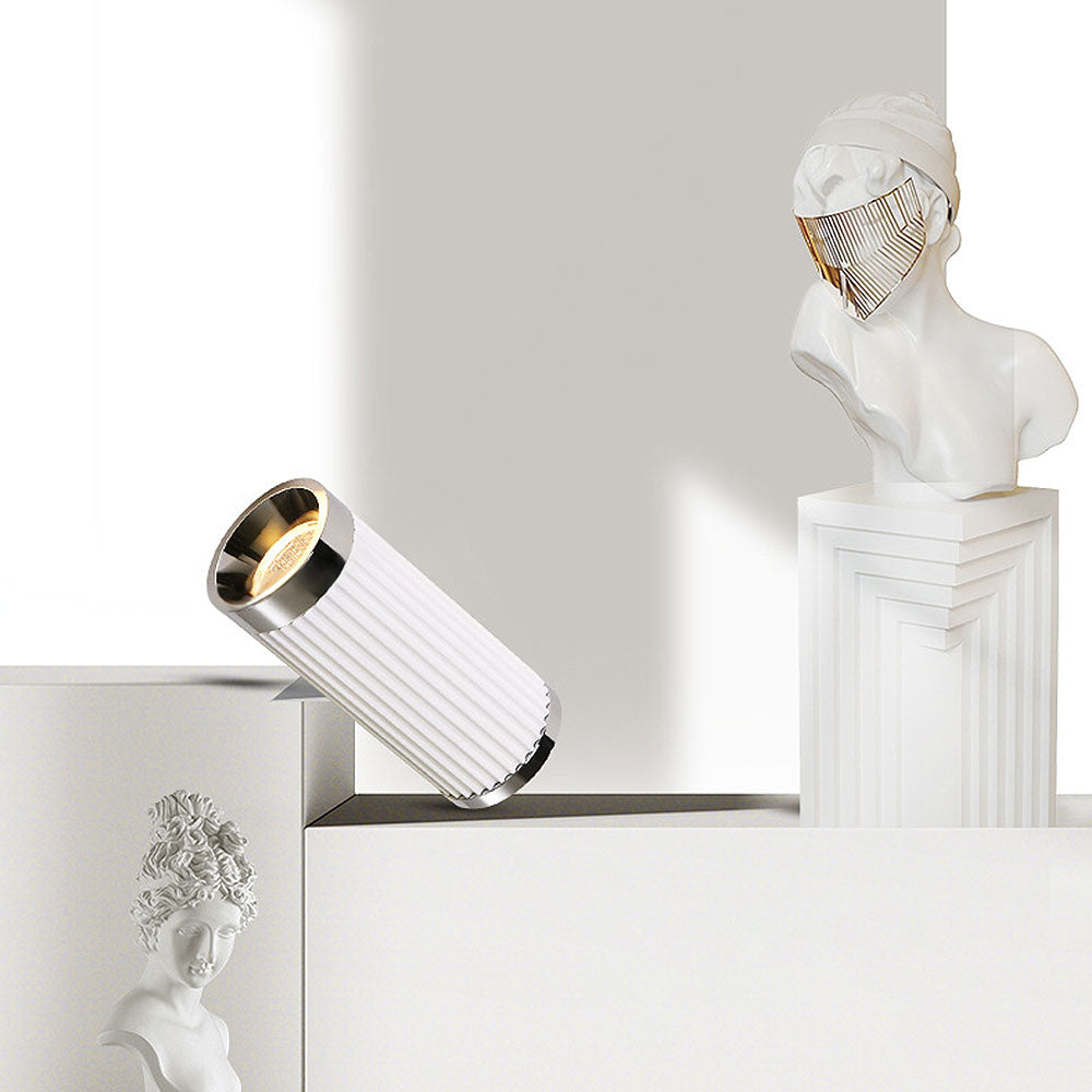 Celzilo Ceiling Light