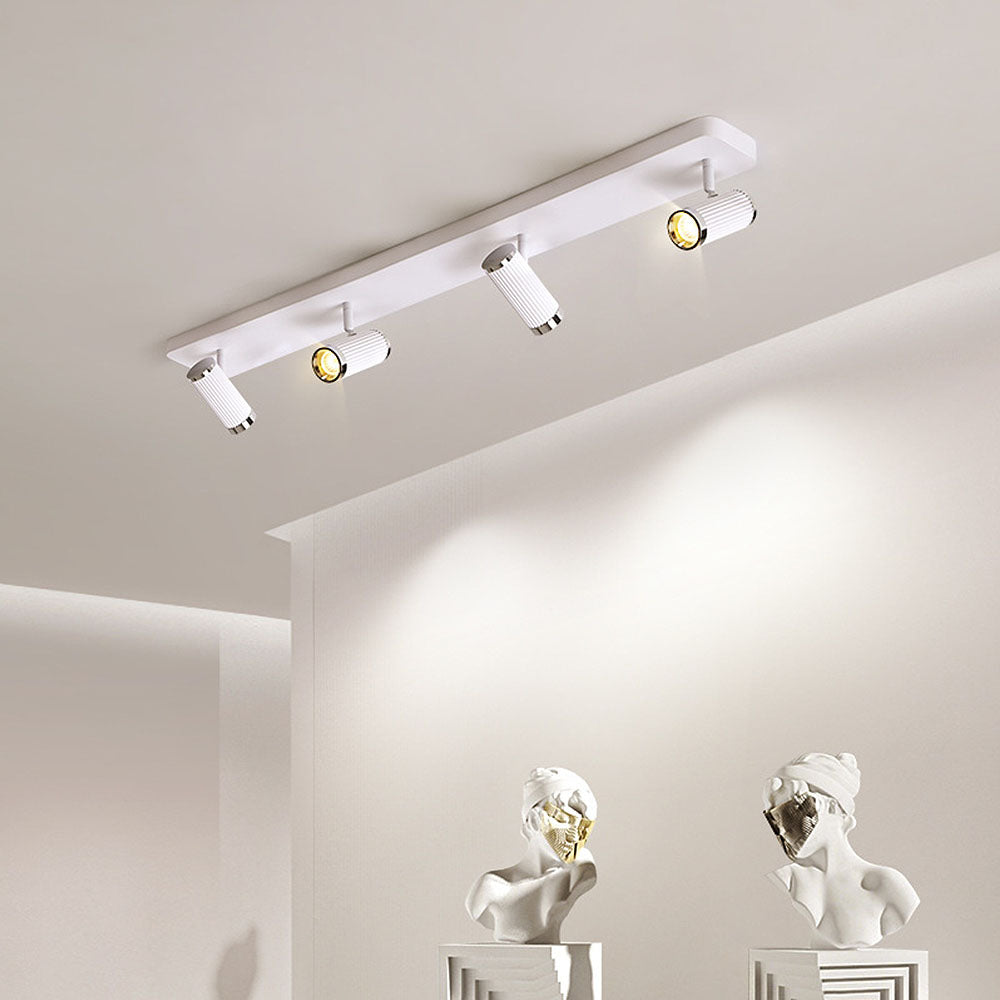 Celzilo Ceiling Light