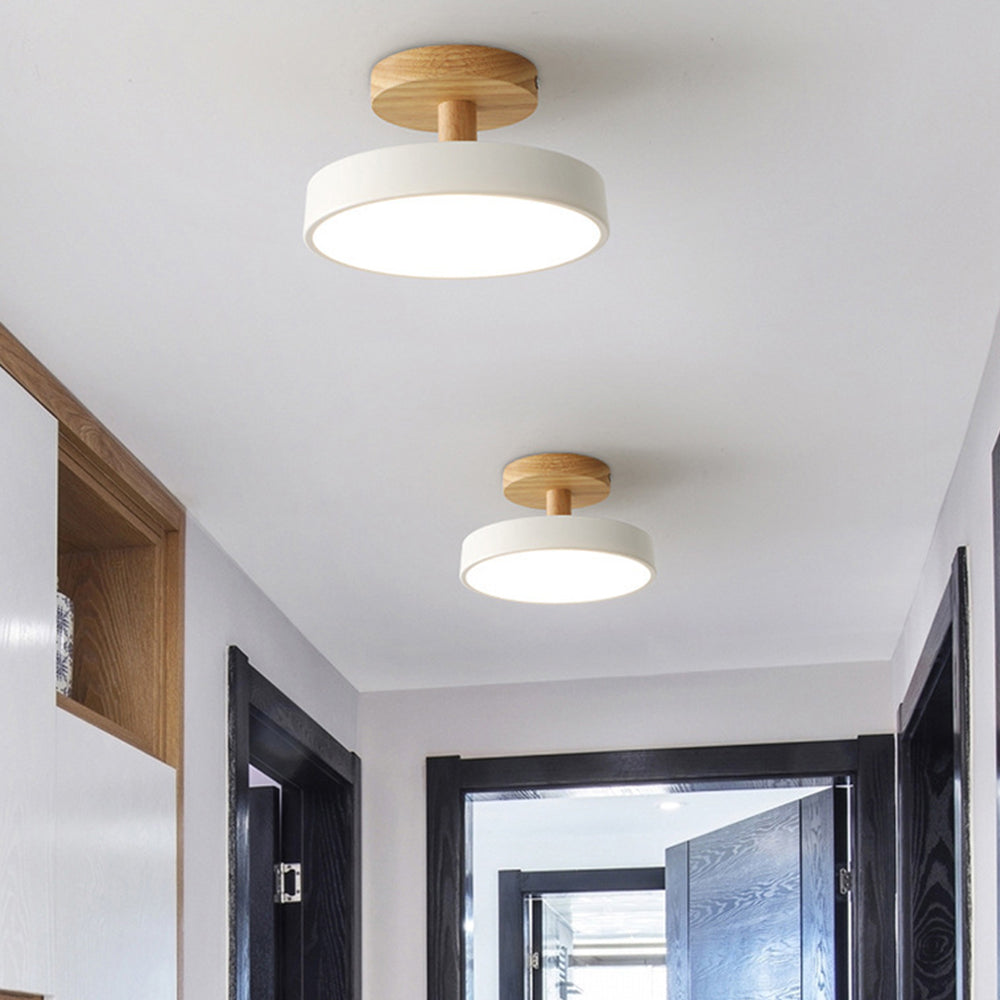 Pedol Ceiling Light