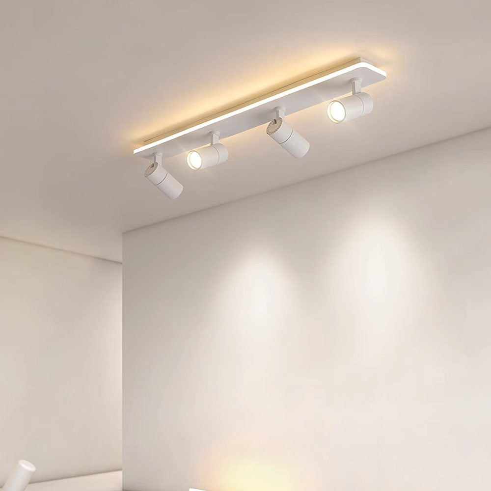 Triccon Ceiling Light