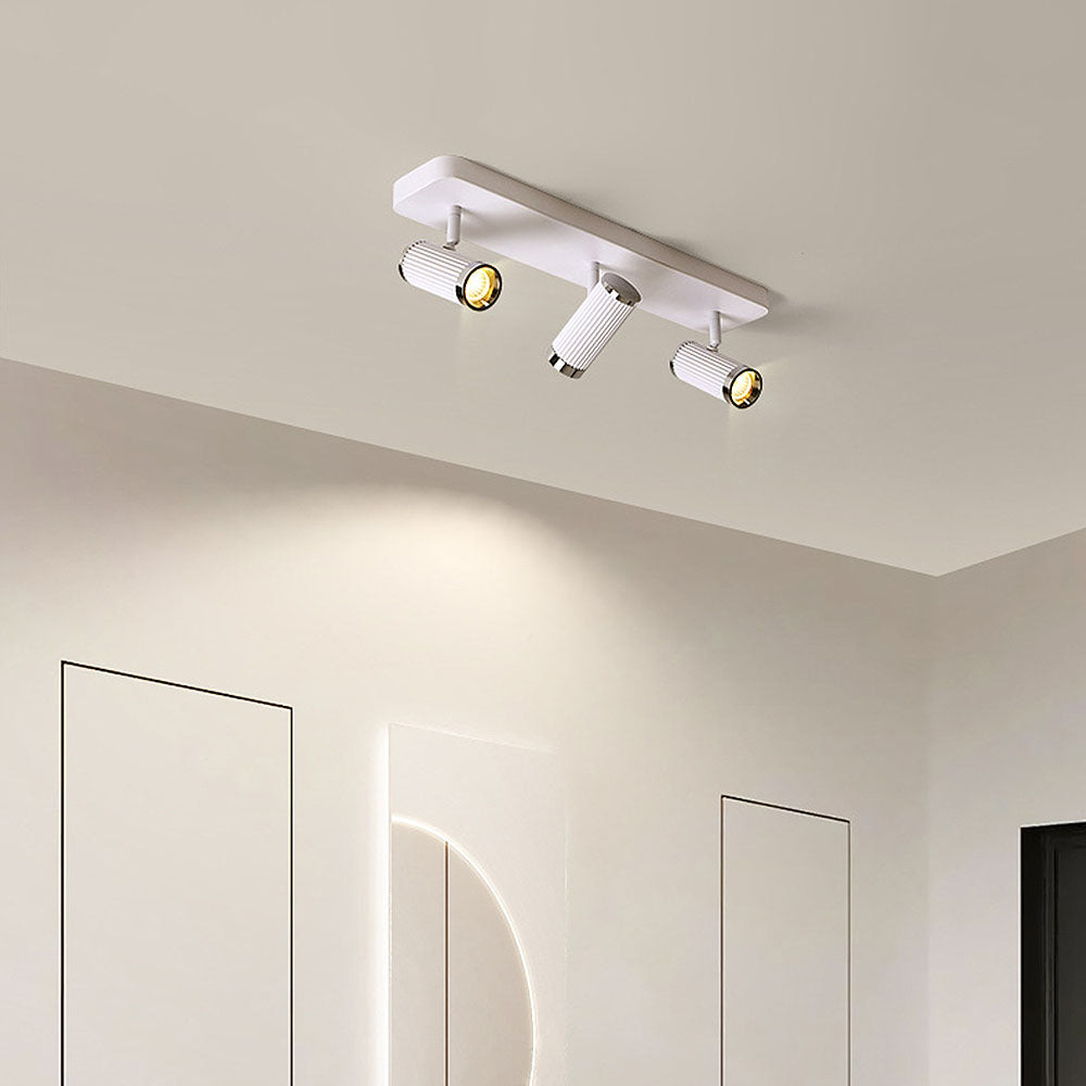 Celzilo Ceiling Light