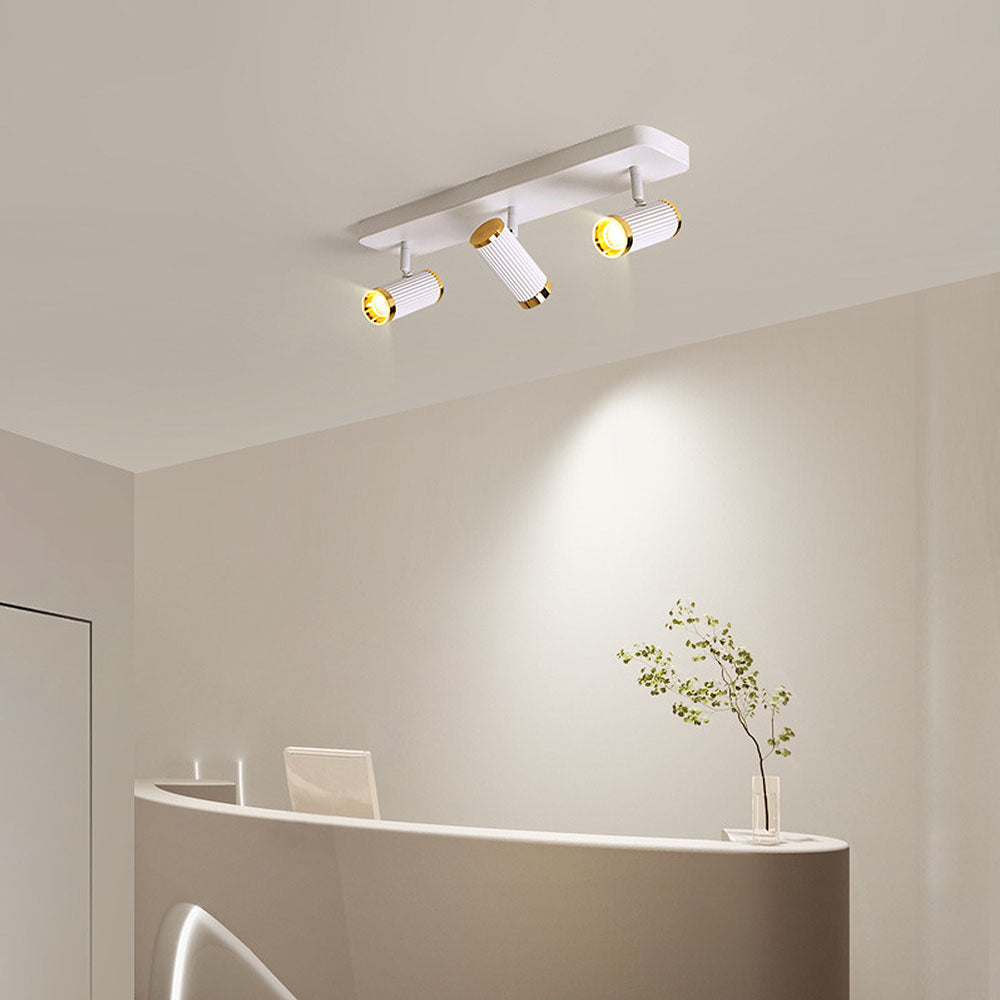 Celzilo Ceiling Light