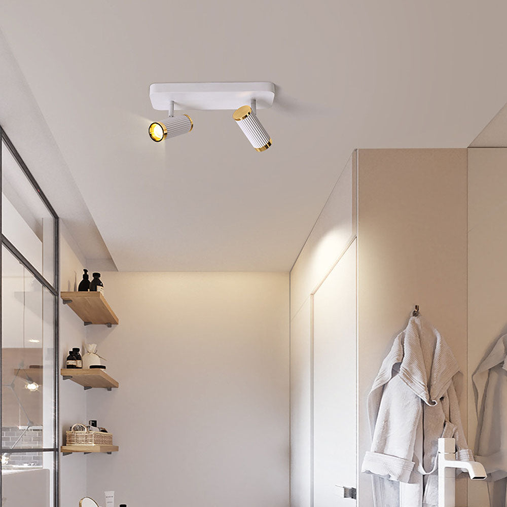 Celzilo Ceiling Light