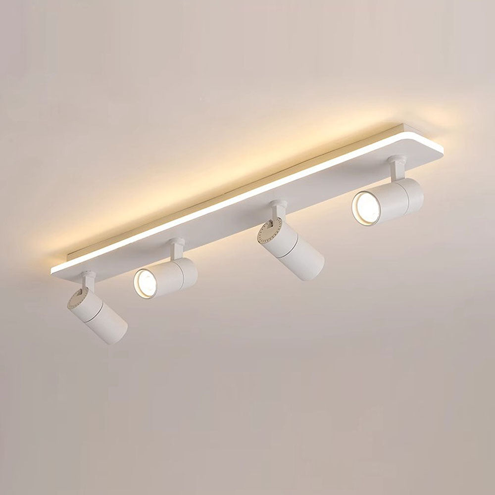 Triccon Ceiling Light
