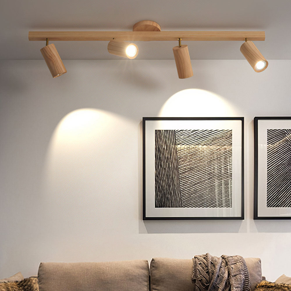 Metoza Ceiling Light