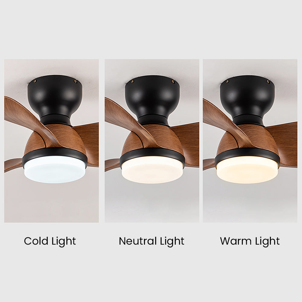 Zareni LED Ceiling Fan