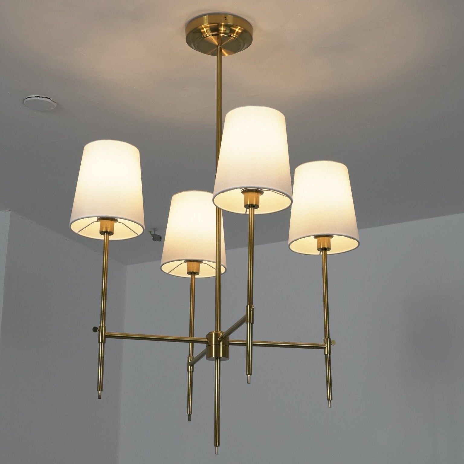 Delavo Brass Ceiling Light