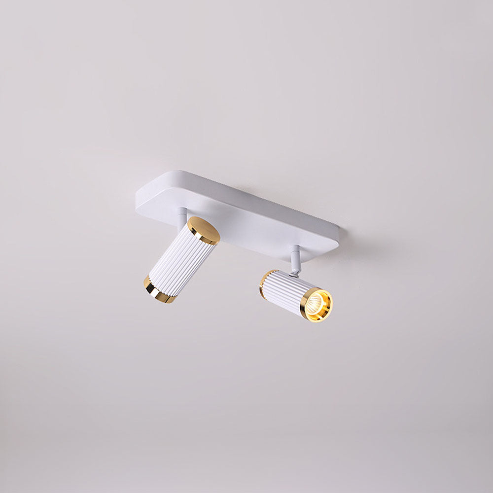 Celzilo Ceiling Light