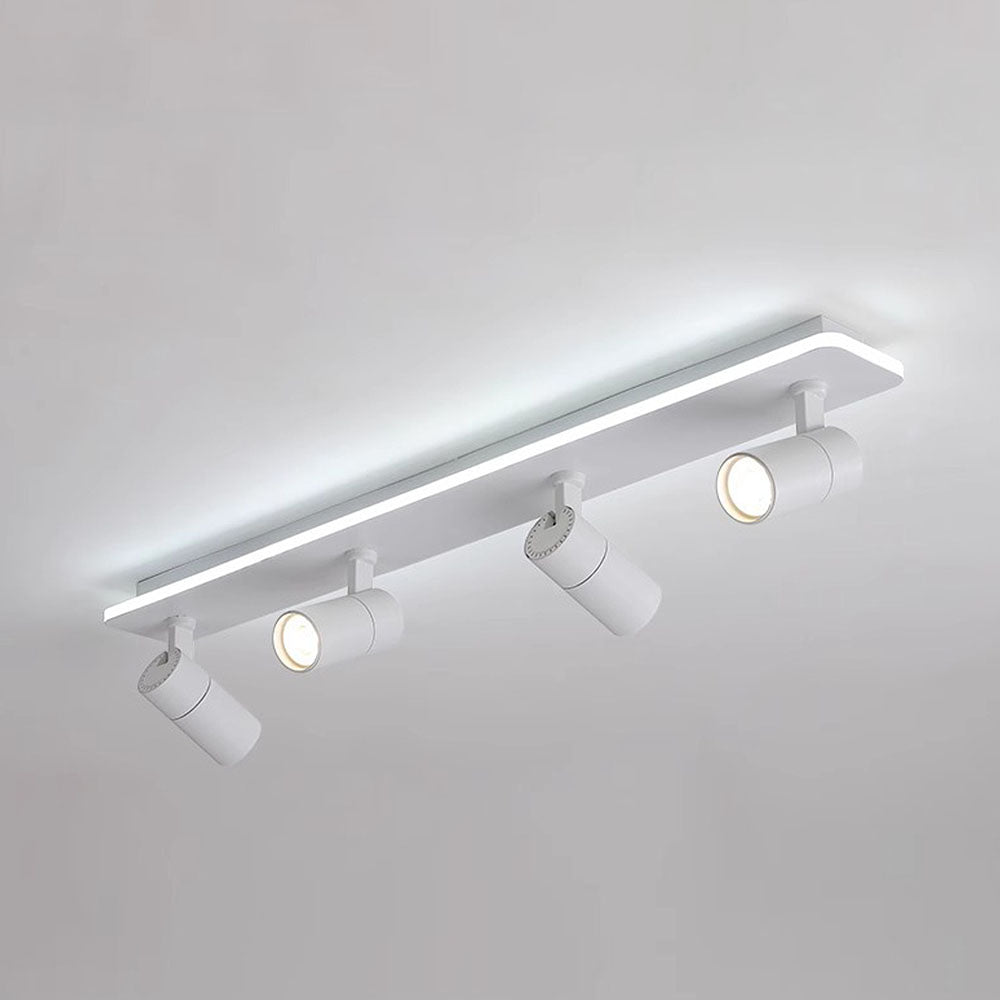 Triccon Ceiling Light