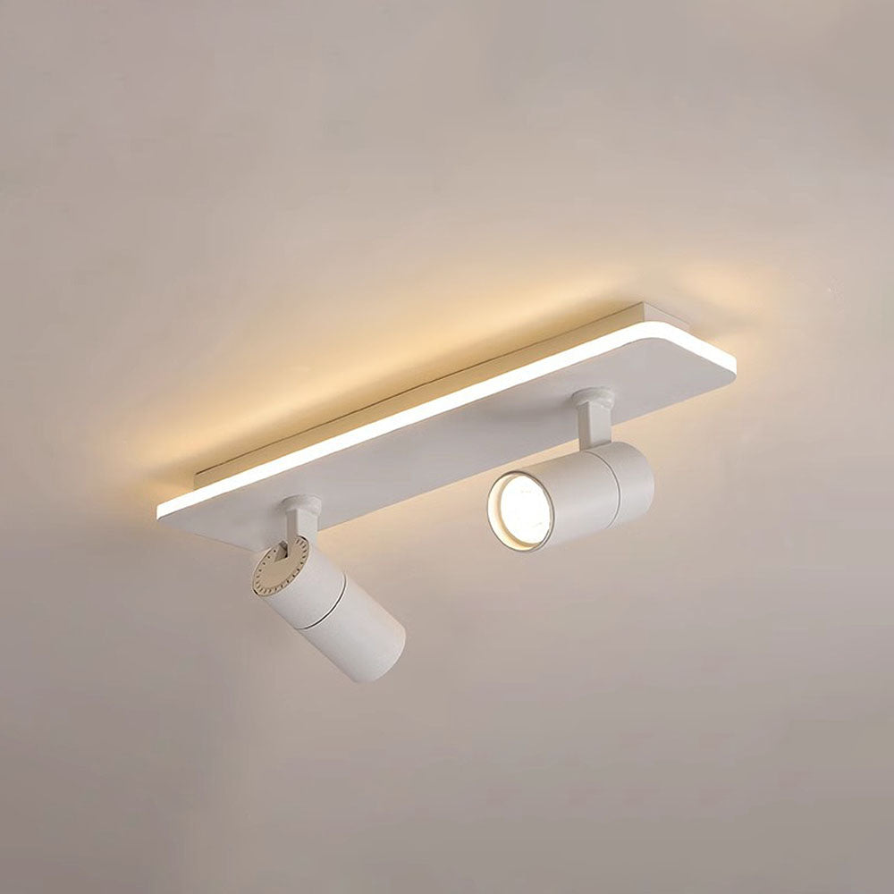 Triccon Ceiling Light