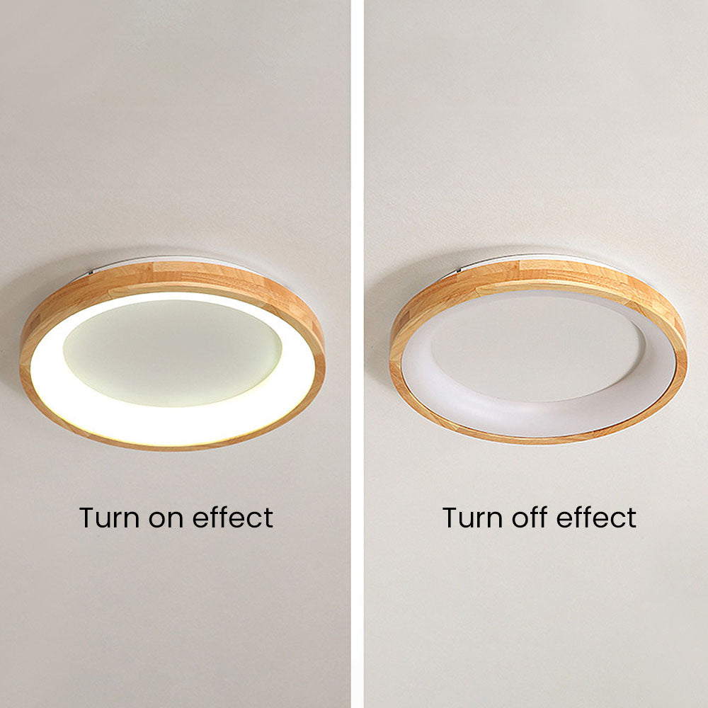 Luzzone Ceiling Light