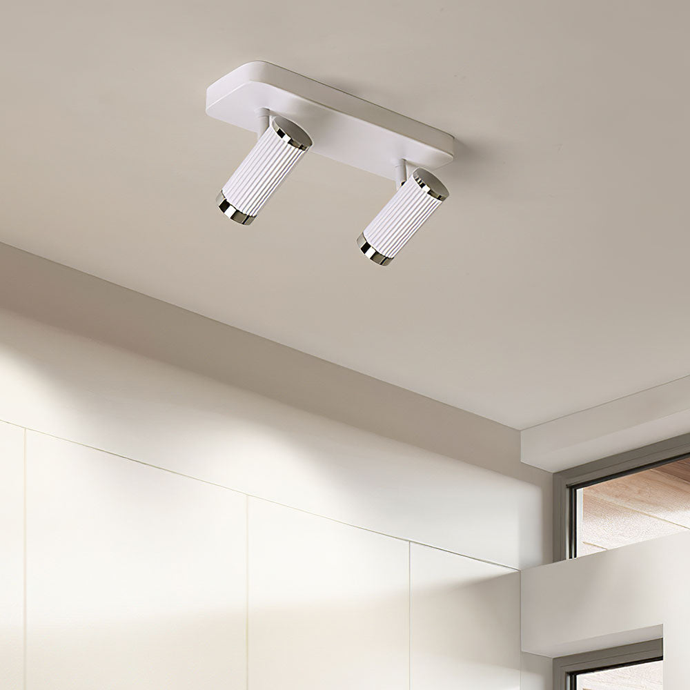 Celzilo Ceiling Light