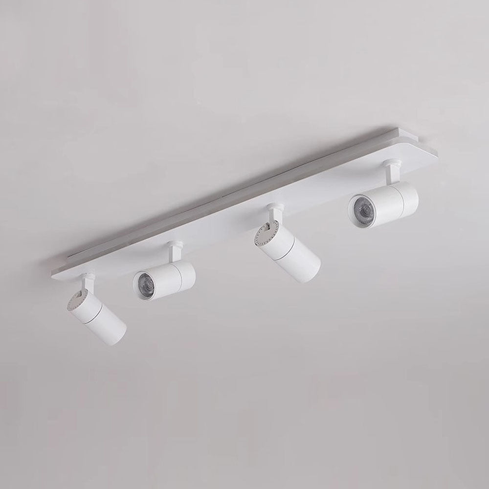 Triccon Ceiling Light